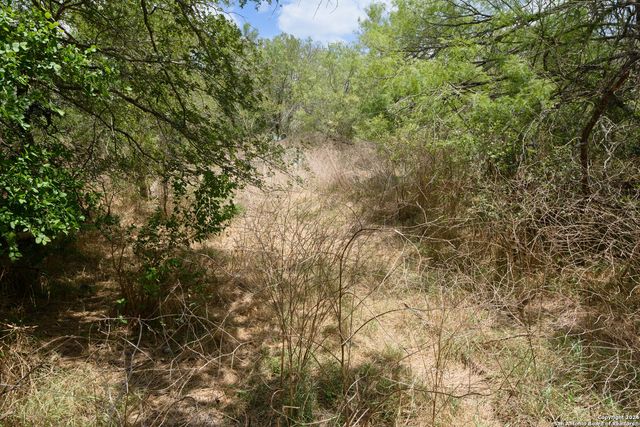 TBD SANTA CLARA RD, Seguin, TX 78155