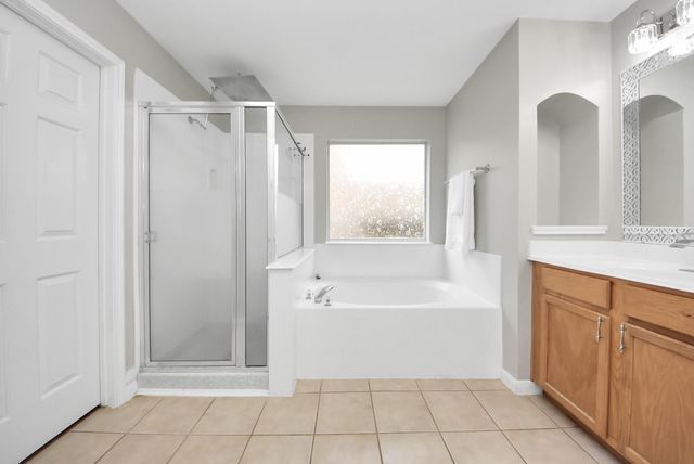 12027 Iris Canyon Drive, Tomball, TX 77377
