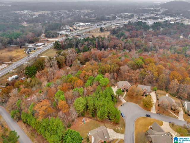 211 MOUNTAIN LAKE TRAIL, Alabaster, AL 35007