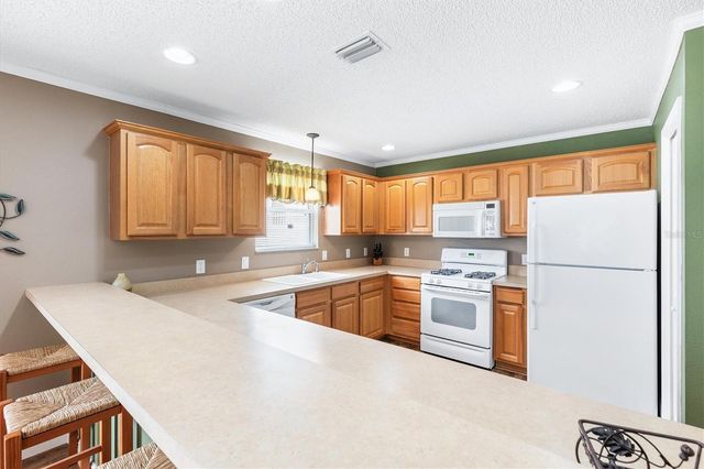 979 SMYRNA STREET, The Villages, FL 32162