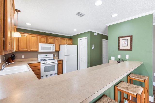 979 SMYRNA STREET, The Villages, FL 32162