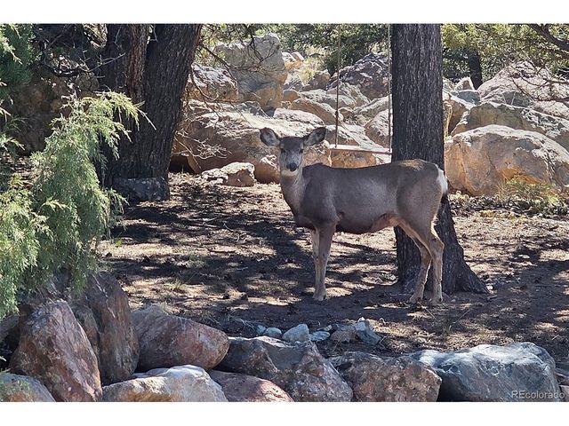 3572 Camino Baca Grande, Crestone, CO 81131