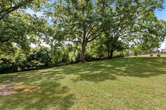 8487 Del Thomas Rd, Smyrna, TN 37167