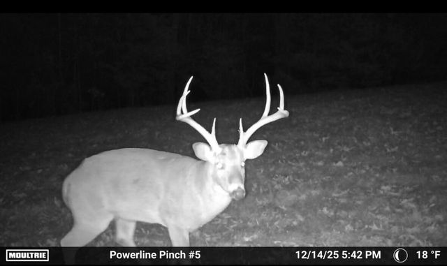 3095 State Highway O, Highlandville, MO 65669