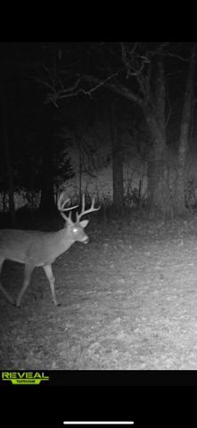 3095 State Highway O, Highlandville, MO 65669