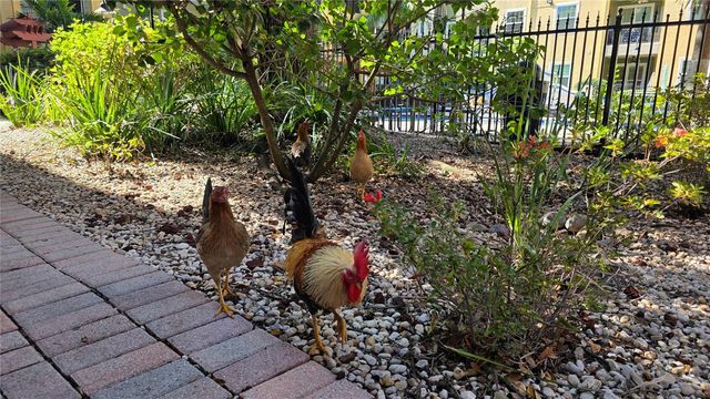 2010 E PALM AVENUE 14304, Tampa, FL 33605