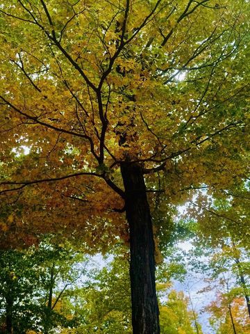 N7853 NOQUEBAY ROAD, Crivitz, WI 54114