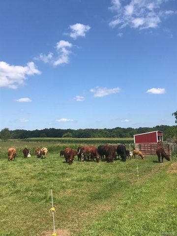 8620 SCIO CHURCH Road, Lima Twp, MI 48103