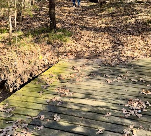 10051 Private Road 2429, Terrell, TX 75160