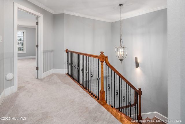 2316 Dovedale Drive A, Greenville, NC 27834