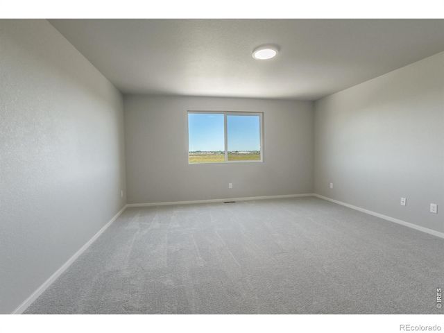 764 Trumpet Court, Windsor, CO 80550