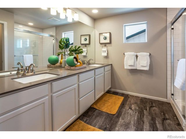 764 Trumpet Court, Windsor, CO 80550