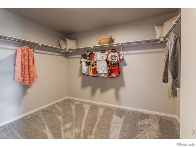 764 Trumpet Court, Windsor, CO 80550