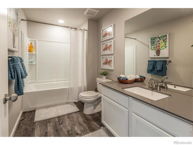 764 Trumpet Court, Windsor, CO 80550