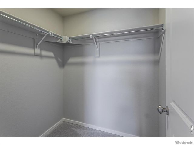 764 Trumpet Court, Windsor, CO 80550