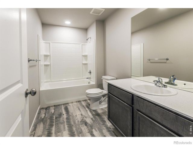 764 Trumpet Court, Windsor, CO 80550