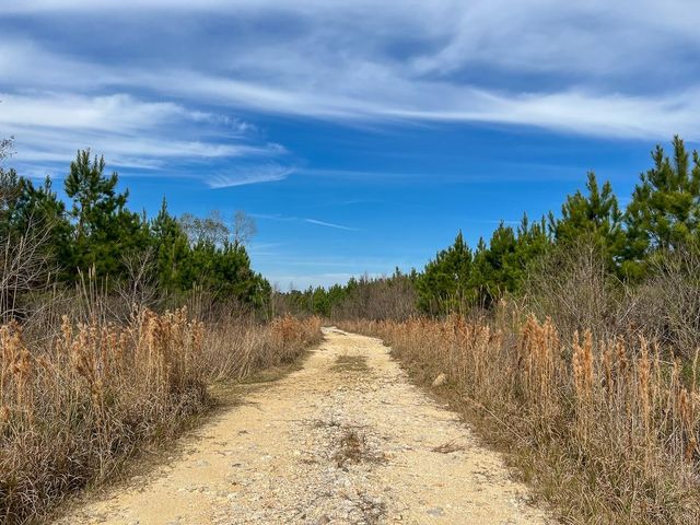 T-3 Hwy 1131, Vidor, TX 77662