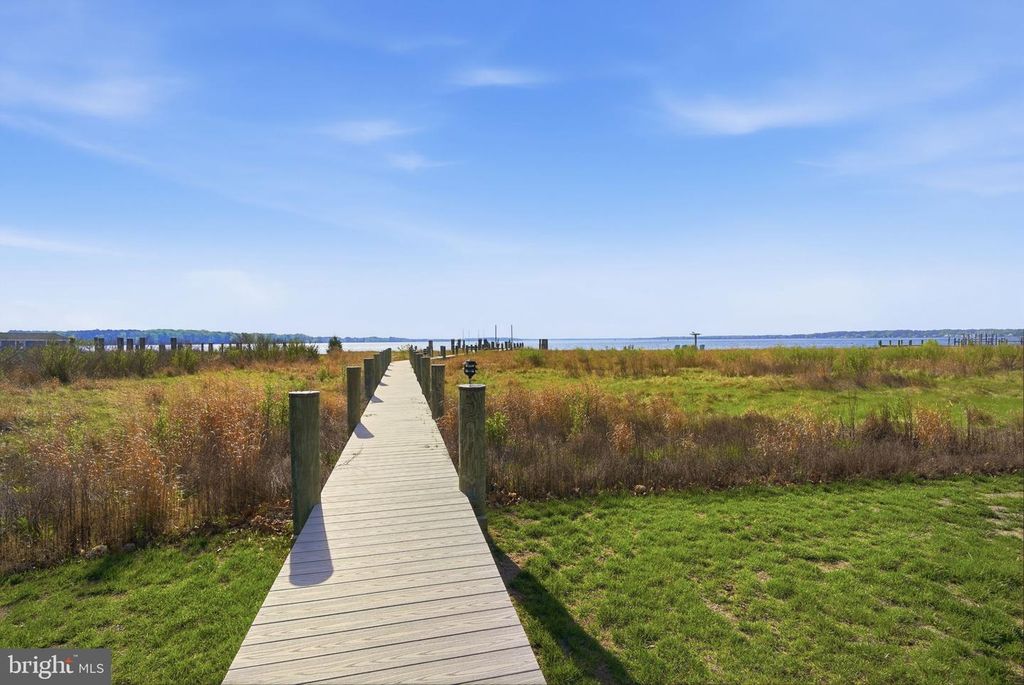 Image 52 of property listing at 24830 DEEPWATER POINT DR, Saint Michaels, MD 21663