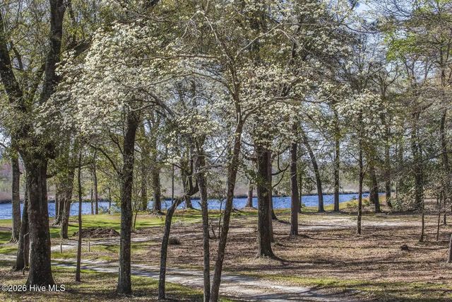 697 Jenoa Loop, Castle Hayne, NC 28429