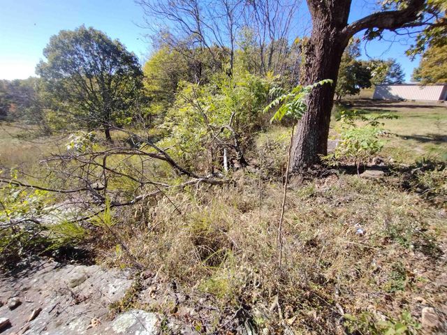 457 Haywood LN, Mountain View, AR 72560