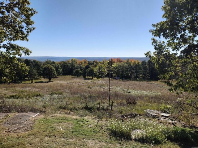 457 Haywood LN, Mountain View, AR 72560