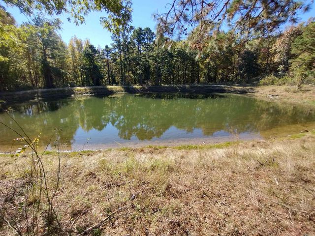 457 Haywood LN, Mountain View, AR 72560