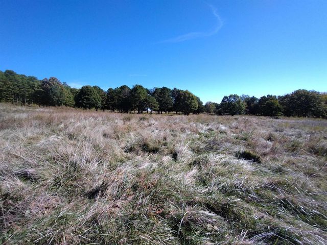 457 Haywood LN, Mountain View, AR 72560