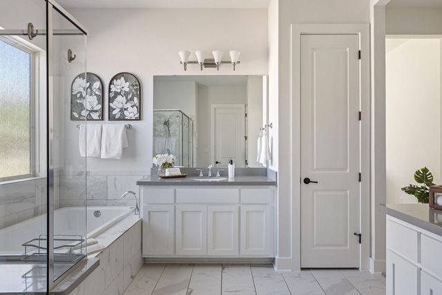 1316 Da Vinci TRL, Leander, TX 78641