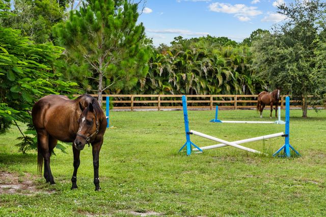 19925 Black Falcon Road, Loxahatchee, FL 33470