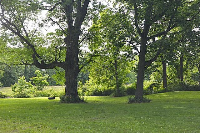 13905 Leavenworth Road, Basehor, KS 66007