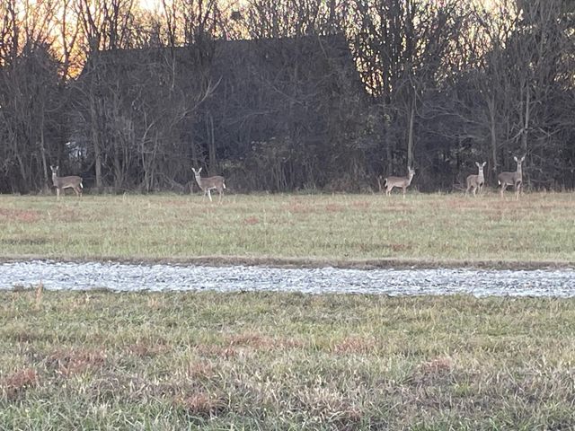 313 Lowry Lane, Chickamauga, GA 30707