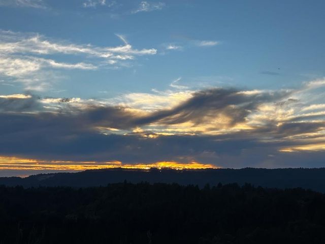 2500 Nelson Road, Scotts Valley, CA 95066