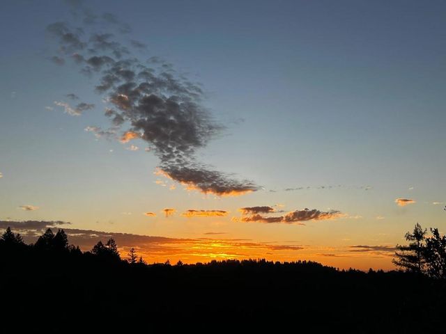 2500 Nelson Road, Scotts Valley, CA 95066