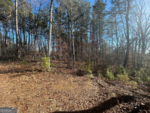 0 Highland Tree Court, Ranger, GA 30734