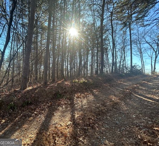 0 Highland Tree Court, Ranger, GA 30734