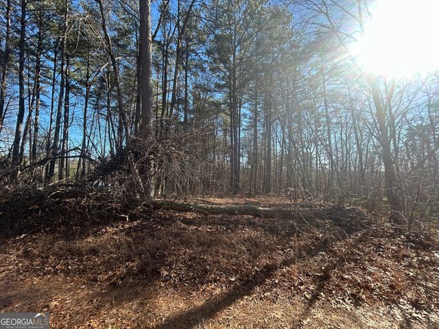 0 Highland Tree Court, Ranger, GA 30734