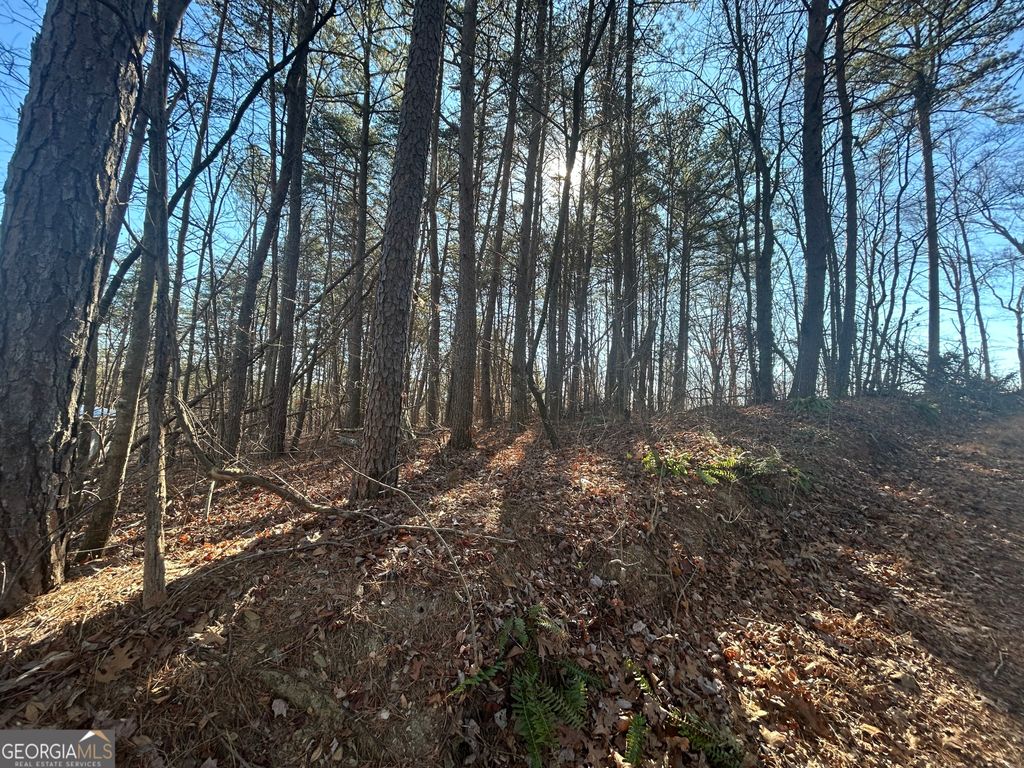 0 Highland Tree Court, Ranger, GA 30734