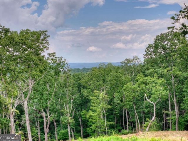 624 High Summit Drive, Talking Rock, GA 30175