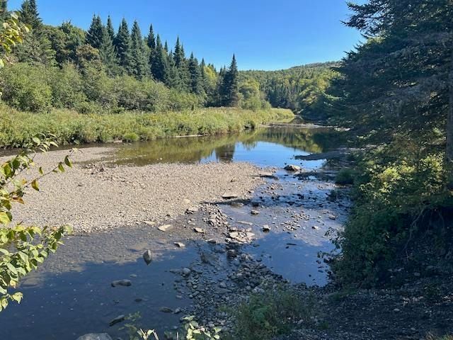 1198 Indian Stream Road, Pittsburg, NH 03592