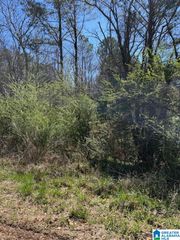 CATHEDRAL LANE, Mccalla, AL 35111
