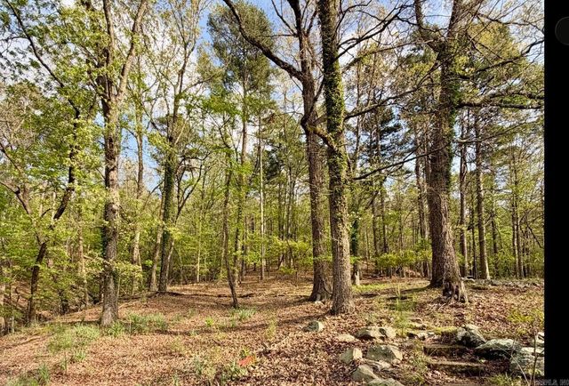 416 Ramble, Hot Springs, AR 71901
