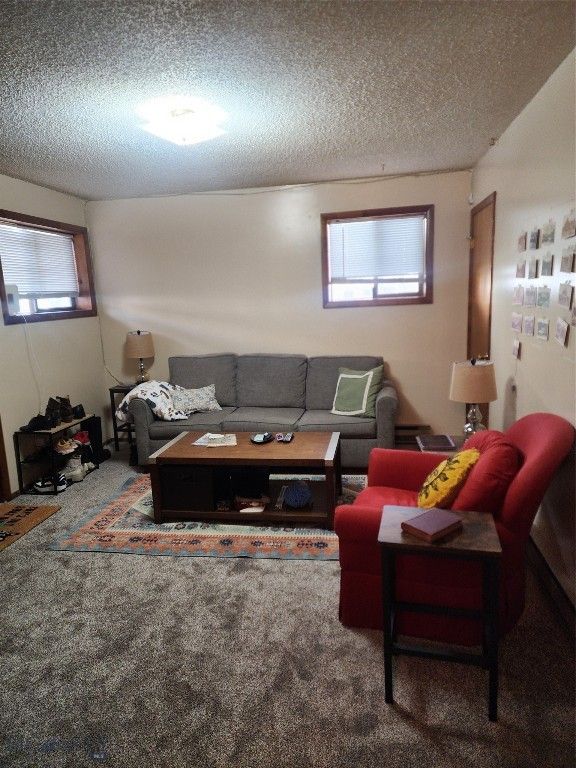 418 W Babcock Street, Bozeman, MT 59715 photo 13