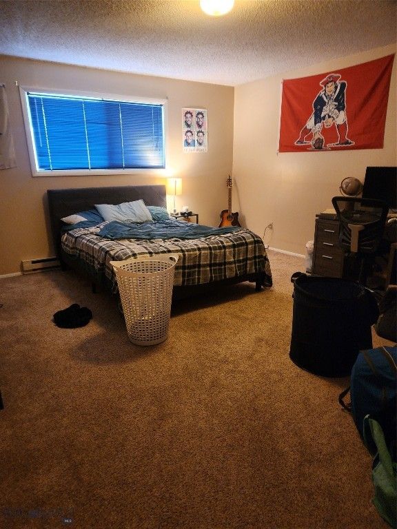 418 W Babcock Street, Bozeman, MT 59715 photo 28