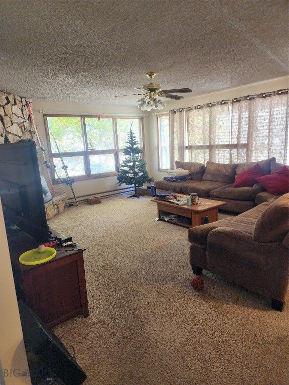 418 W Babcock Street, Bozeman, MT 59715 photo 37