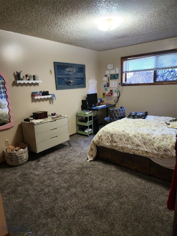 418 W Babcock Street, Bozeman, MT 59715 photo 9