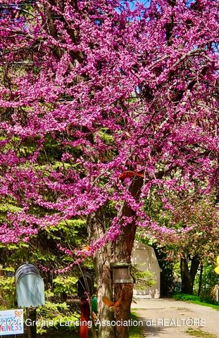 1666 Mount Vernon Avenue, East Lansing, MI 48823