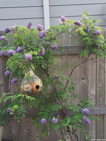 2071 Wind Chime, New Braunfels, TX 78130