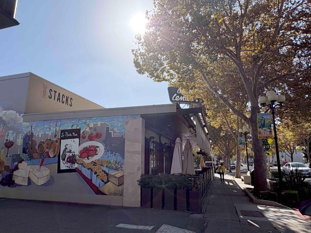 1137 Brace Avenue 4, San Jose, CA 95125
