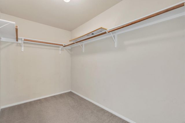 11117 Cain Harvest DR, Austin, TX 78754