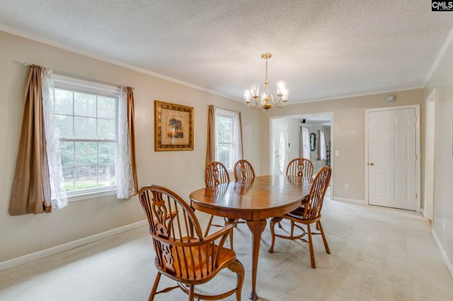 445 Lakemont Drive, Chapin, SC 29036